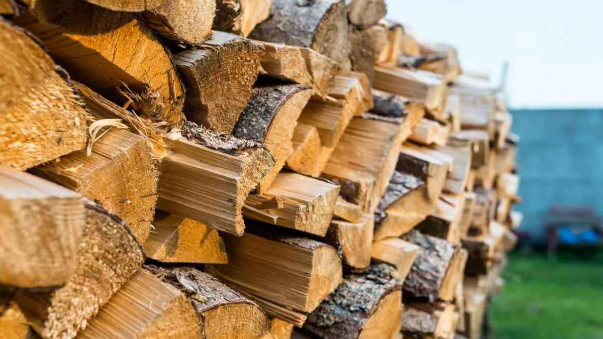 Hur du får ut mesta möjliga värme ur veden