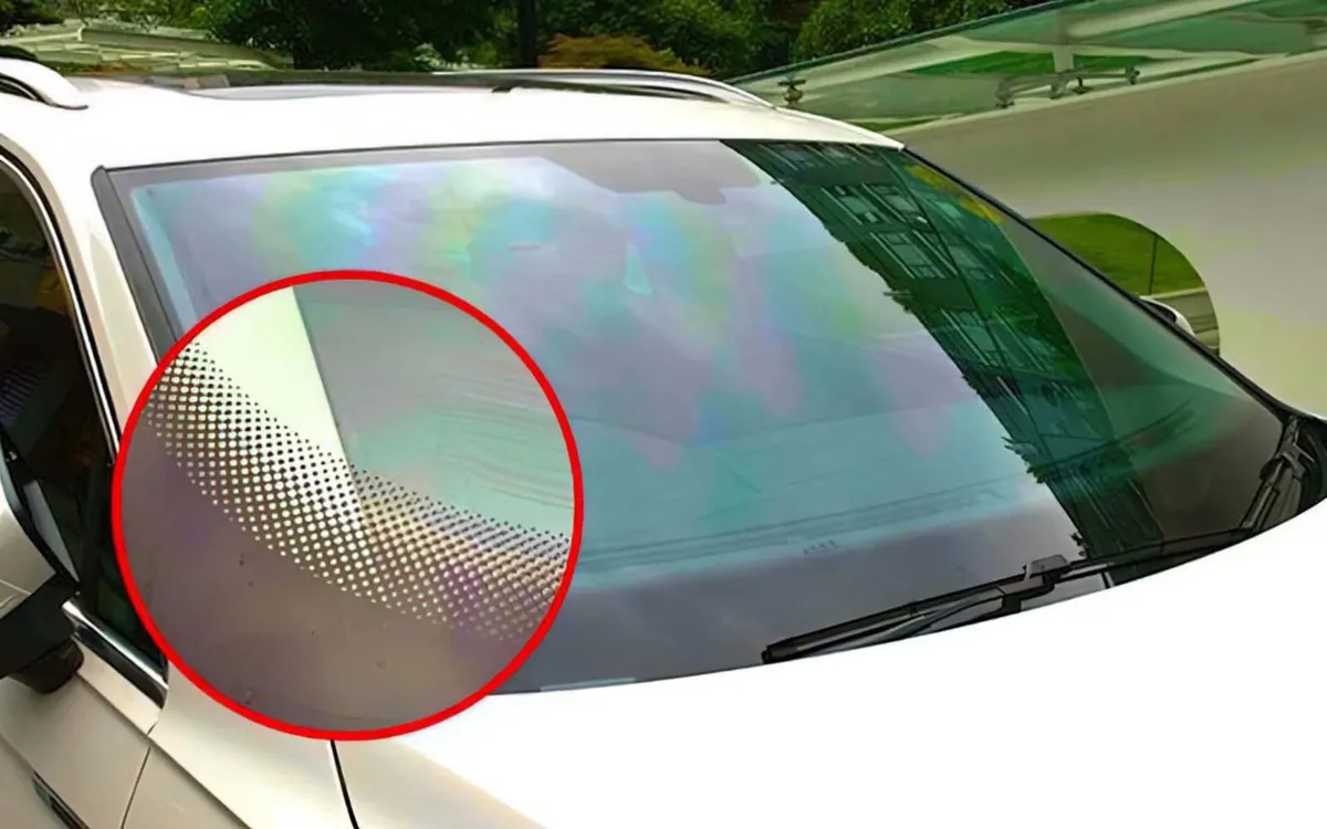 Frontrutans dolda hjältar — de små svarta prickarnas viktiga funktion