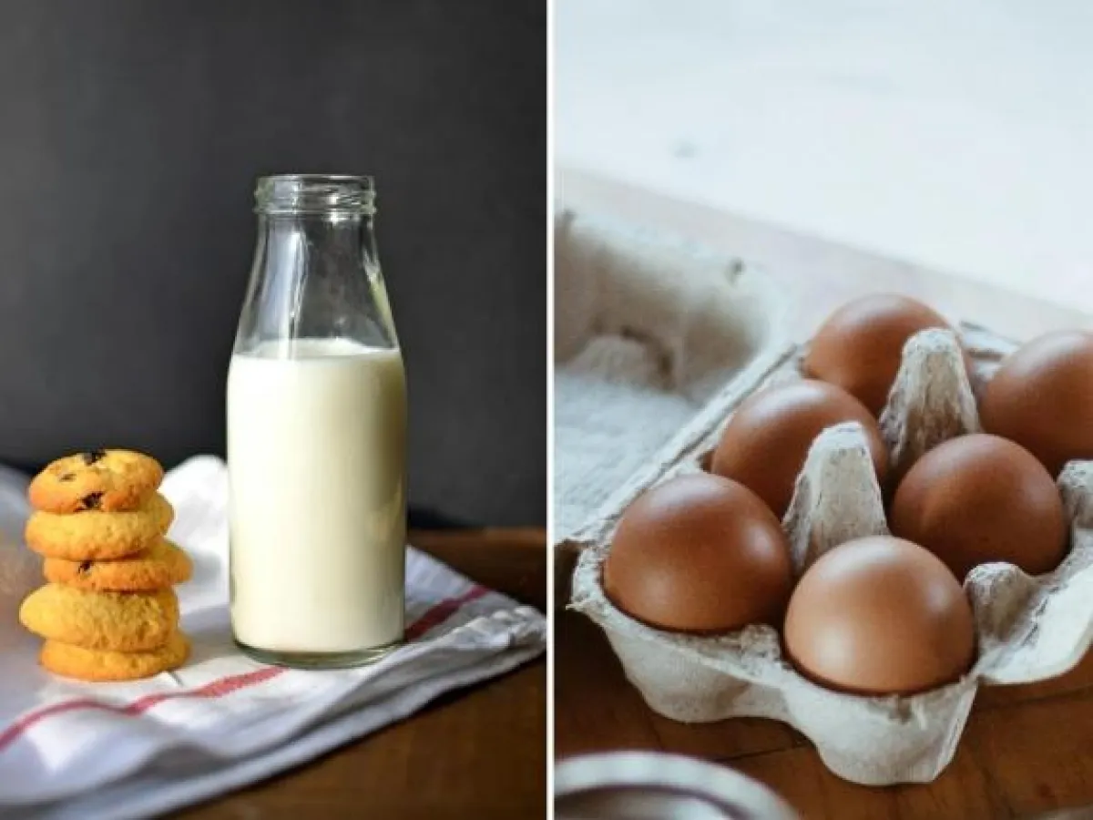 Hantering av utgångna livsmedel — vad du bör veta